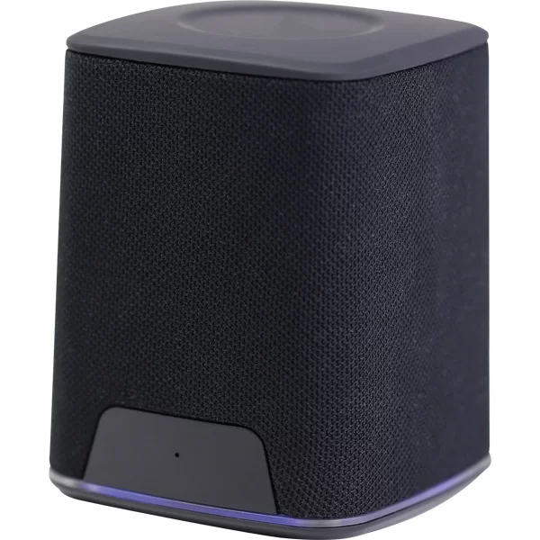 SPK-10 SPEAKER