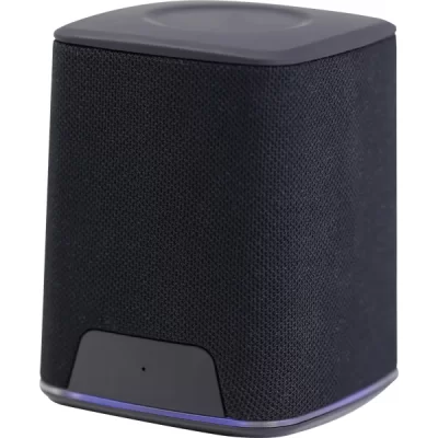SPK-10 SPEAKER